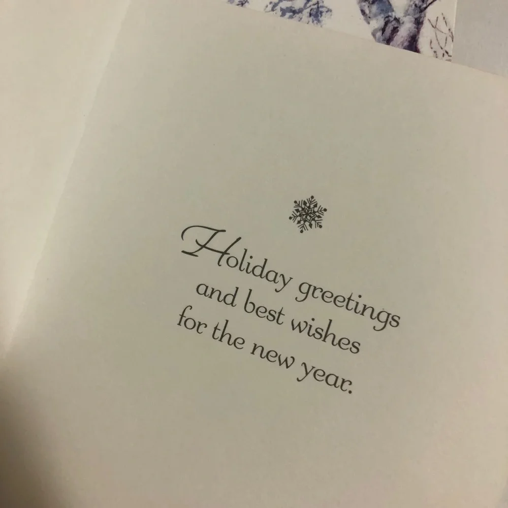 Christmas / Holiday card assortment